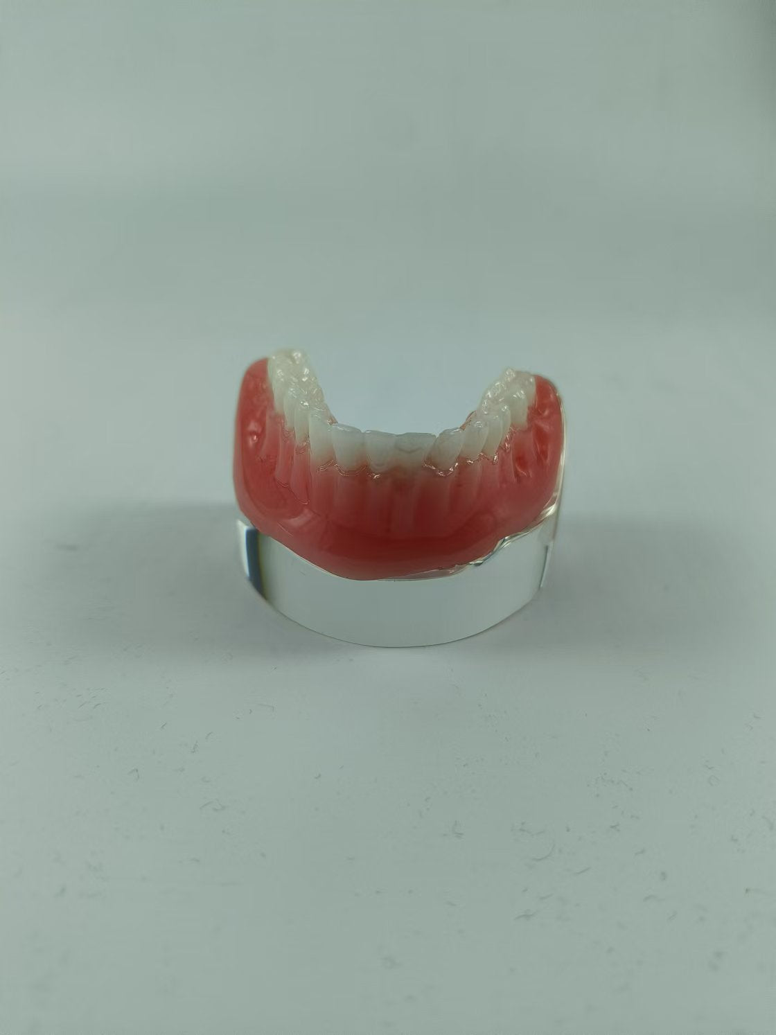 CLEAR BASE DENTAL TYPODONT IMPLANT TEETH MODE TOOTH MODEL FOR EDUCATION & STUDY
