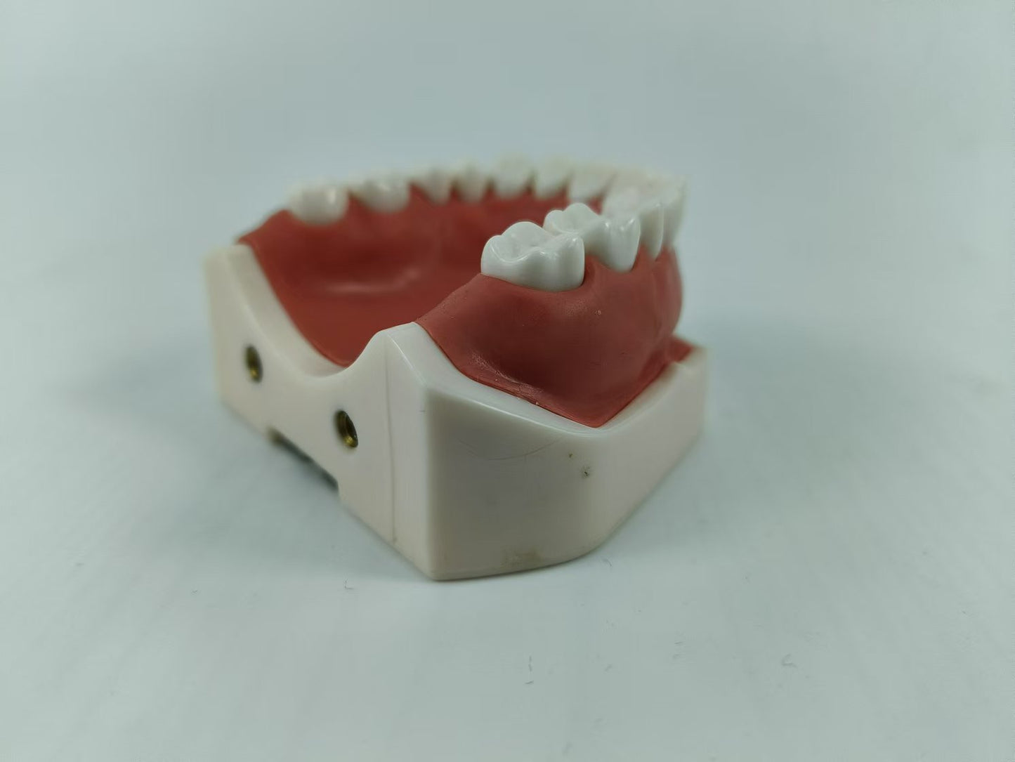 CLEAR BASE DENTAL TYPODONT IMPLANT TEETH MODE TOOTH MODEL