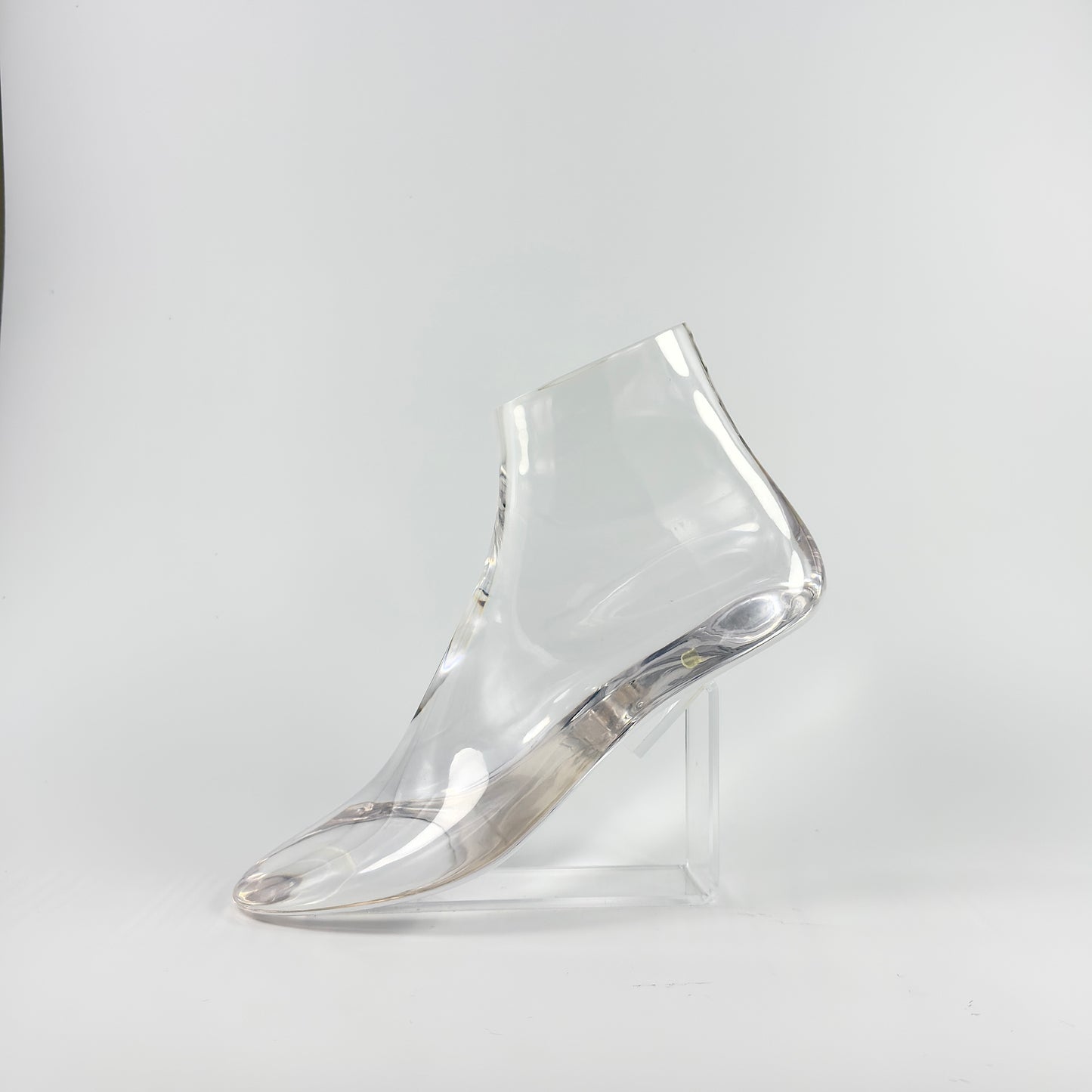 ACRYLIC FOOT MODEL, MODEL,DISPLAY , RINGS MODEL