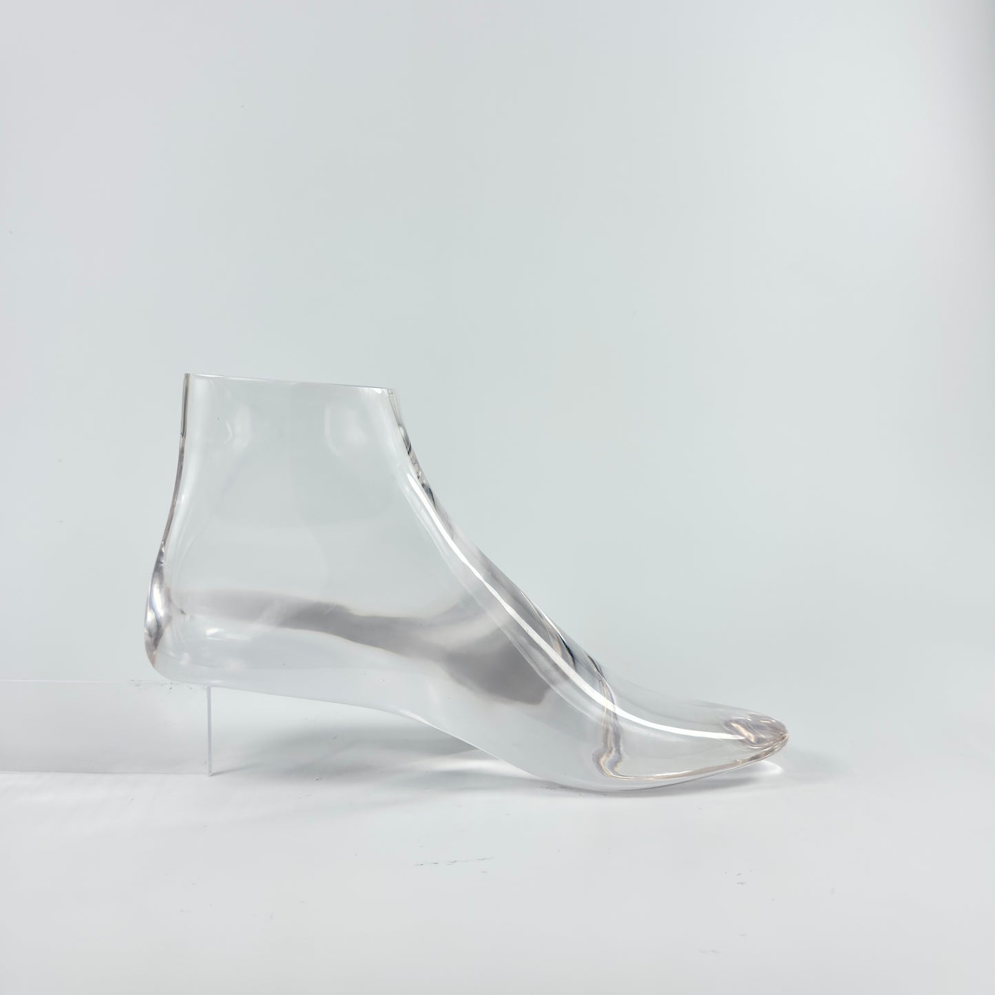 ACRYLIC FOOT MODEL, MODEL,DISPLAY , RINGS MODEL