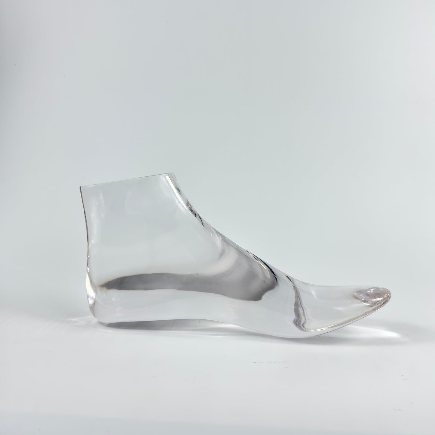 ACRYLIC FOOT MODEL, MODEL,DISPLAY , RINGS MODEL
