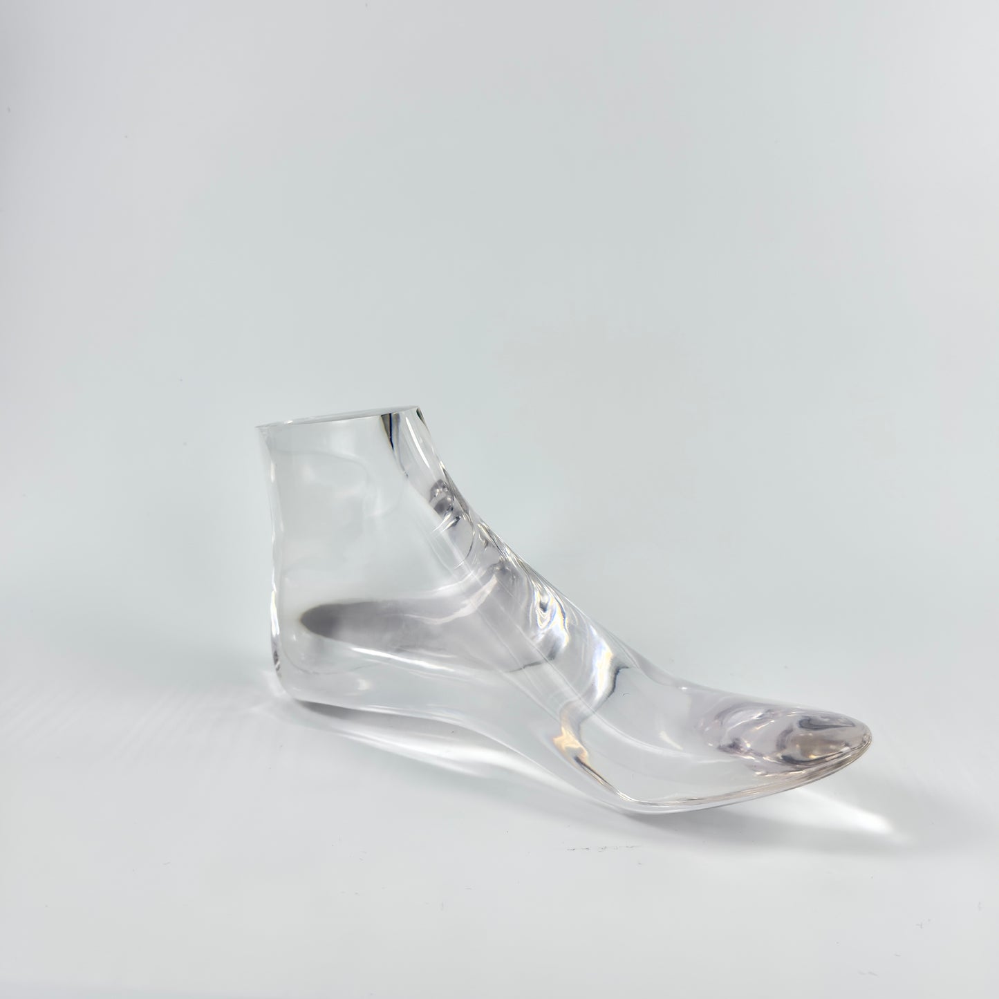 ACRYLIC FOOT MODEL, MODEL,DISPLAY , RINGS MODEL