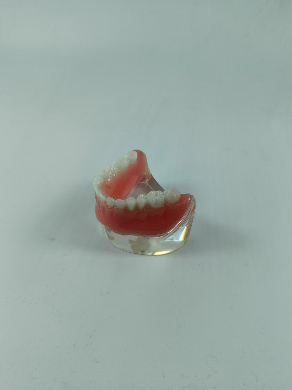 CLEAR BASE DENTAL TYPODONT IMPLANT TEETH MODE TOOTH MODEL FOR EDUCATION & STUDY