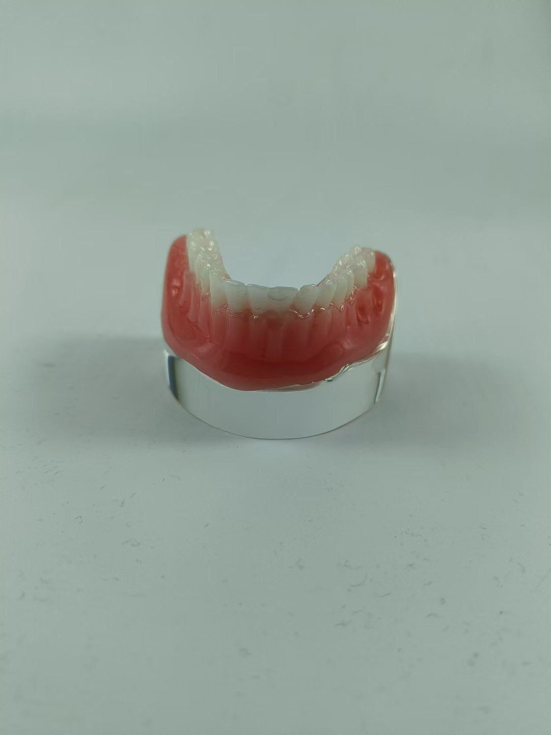 CLEAR BASE DENTAL TYPODONT IMPLANT TEETH MODE TOOTH MODEL FOR EDUCATION & STUDY
