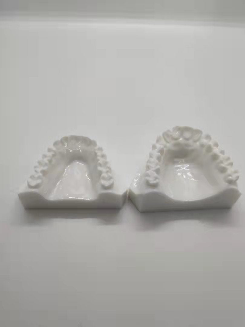 POLY RESIN 1:1 DENTAL TEETH MODEL WHITE COLOR