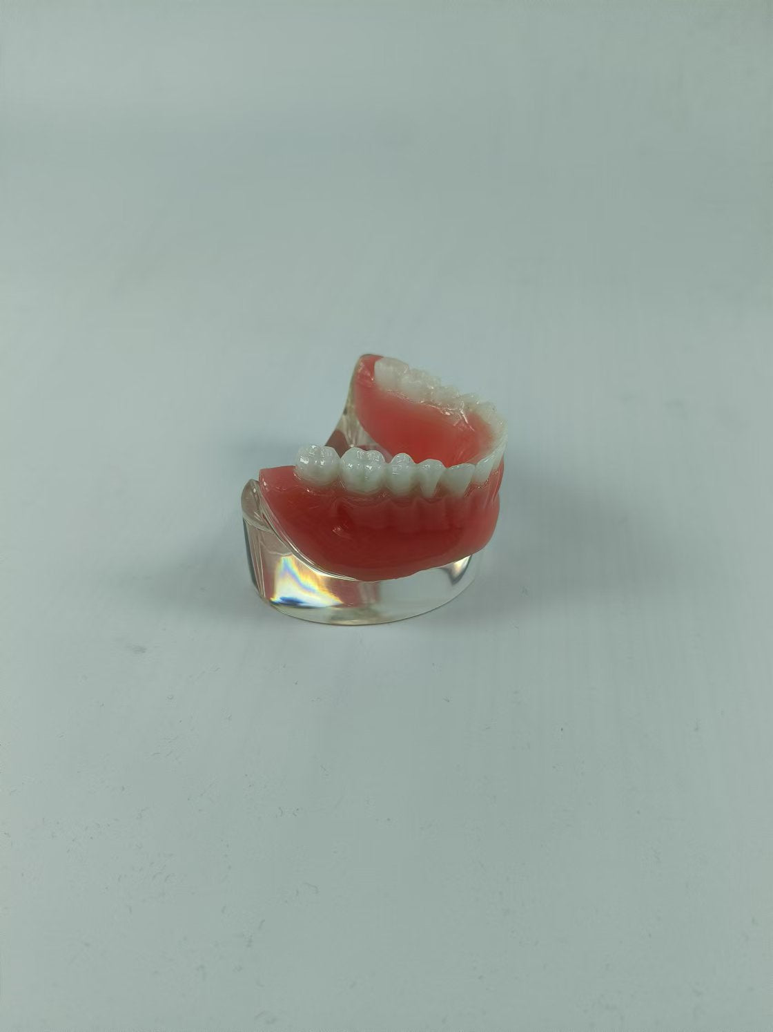 CLEAR BASE DENTAL TYPODONT IMPLANT TEETH MODE TOOTH MODEL FOR EDUCATION & STUDY