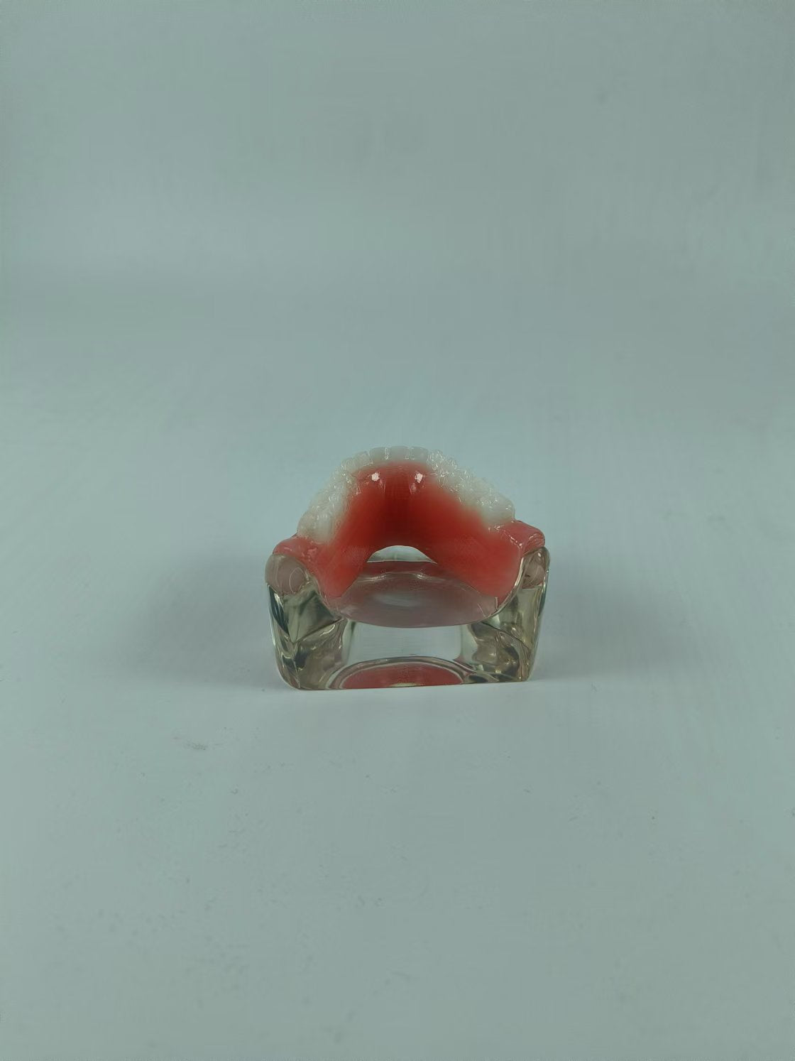 CLEAR BASE DENTAL TYPODONT IMPLANT TEETH MODE TOOTH MODEL FOR EDUCATION & STUDY