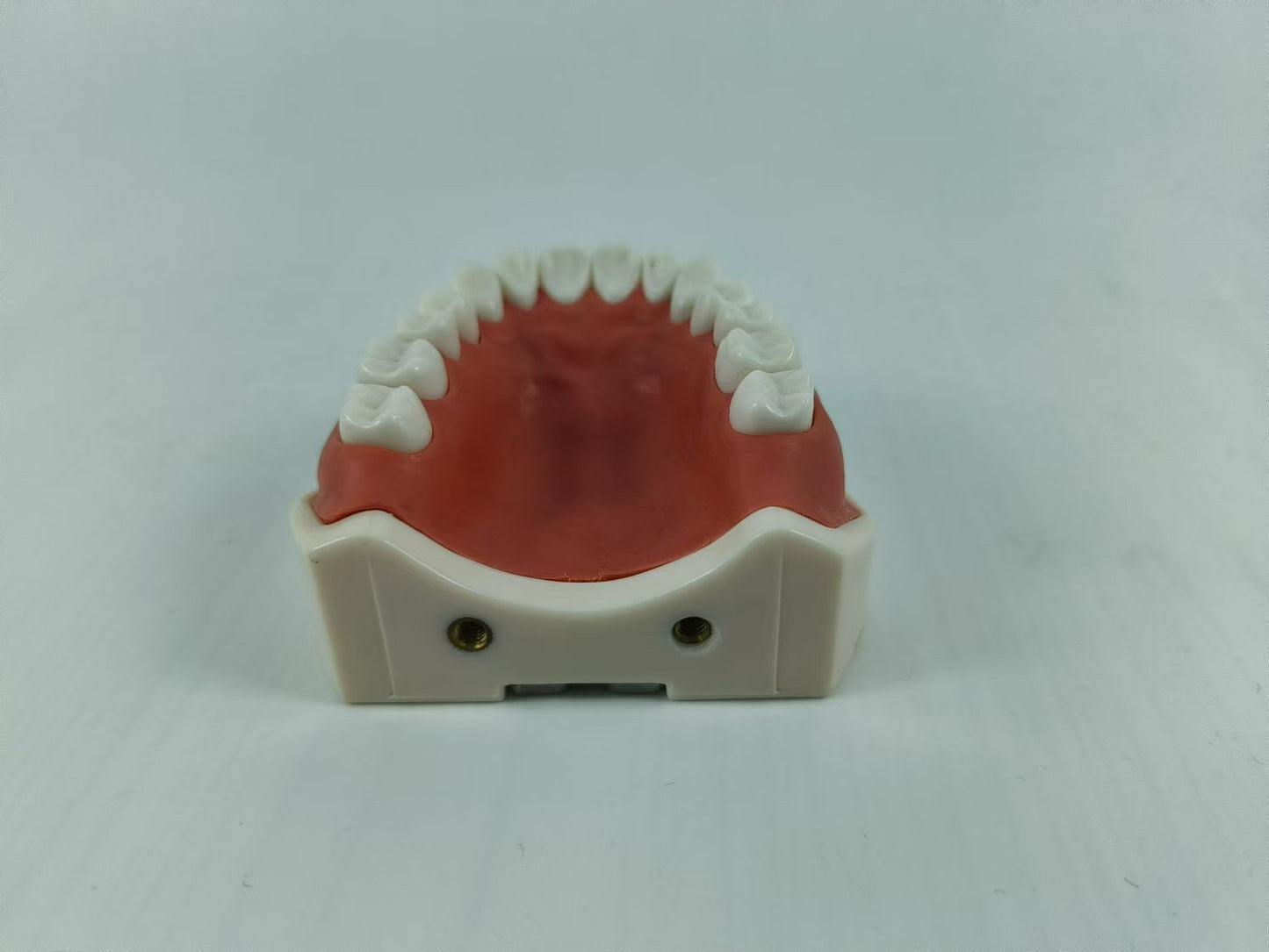CLEAR BASE DENTAL TYPODONT IMPLANT TEETH MODE TOOTH MODEL