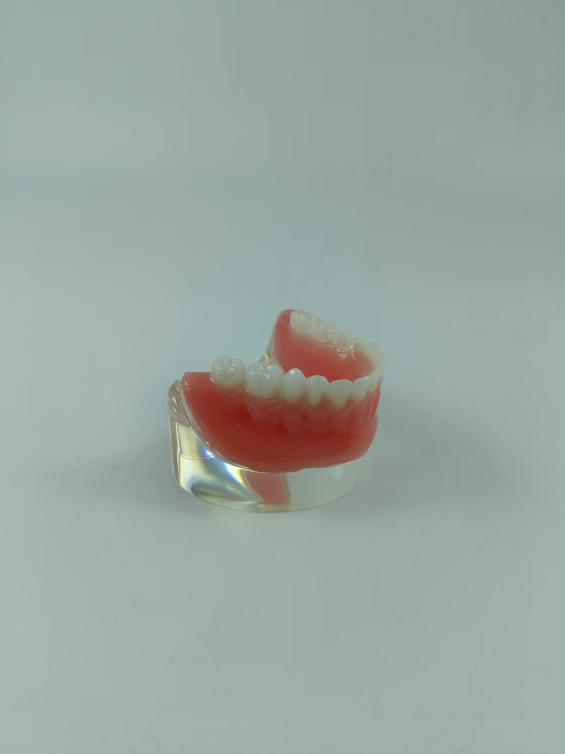 CLEAR BASE DENTAL TYPODONT IMPLANT TEETH MODE TOOTH MODEL FOR EDUCATION & STUDY