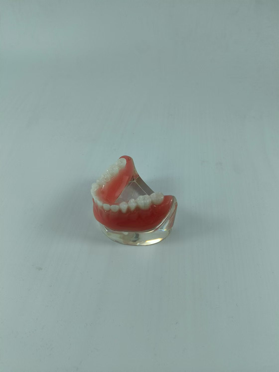 CLEAR BASE DENTAL TYPODONT IMPLANT TEETH MODE TOOTH MODEL FOR EDUCATION & STUDY