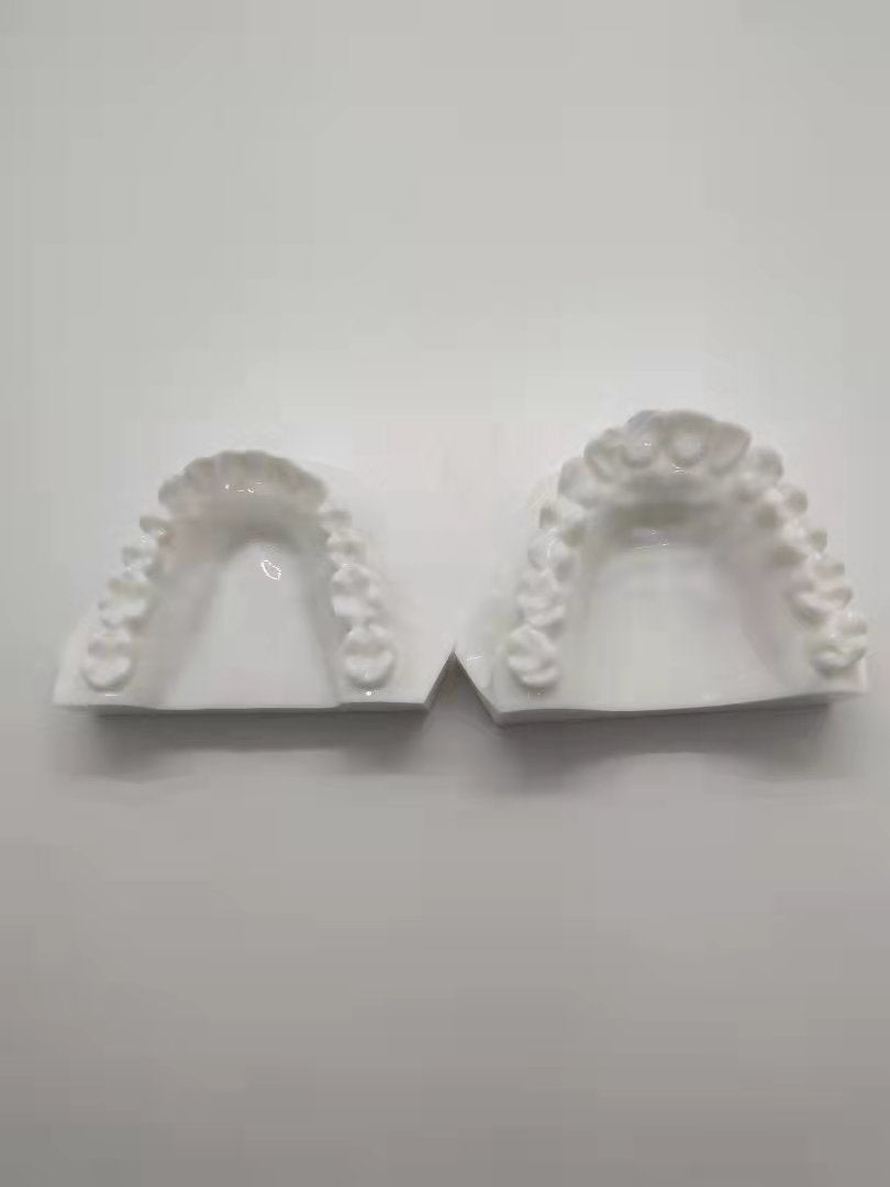 POLY RESIN 1:1 DENTAL TEETH MODEL WHITE COLOR