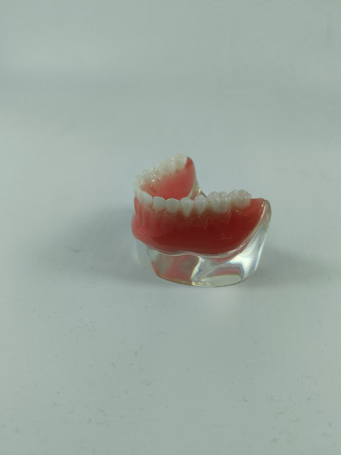 CLEAR BASE DENTAL TYPODONT IMPLANT TEETH MODE TOOTH MODEL FOR EDUCATION & STUDY