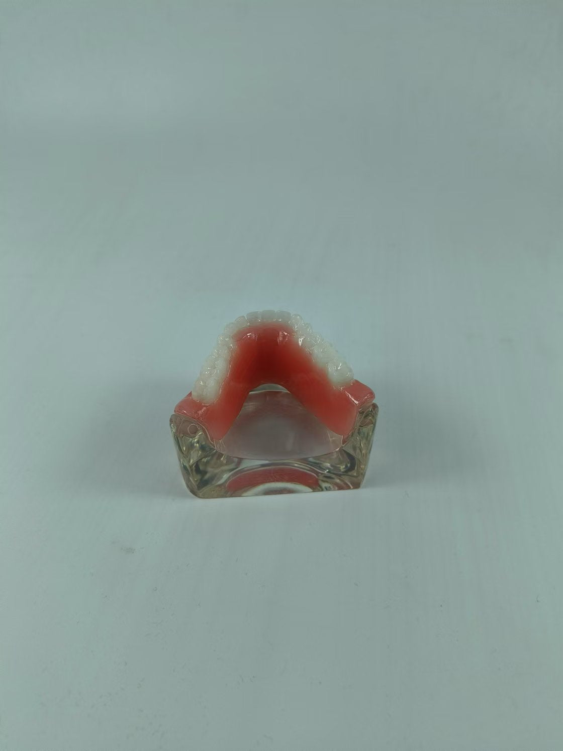 CLEAR BASE DENTAL TYPODONT IMPLANT TEETH MODE TOOTH MODEL FOR EDUCATION & STUDY