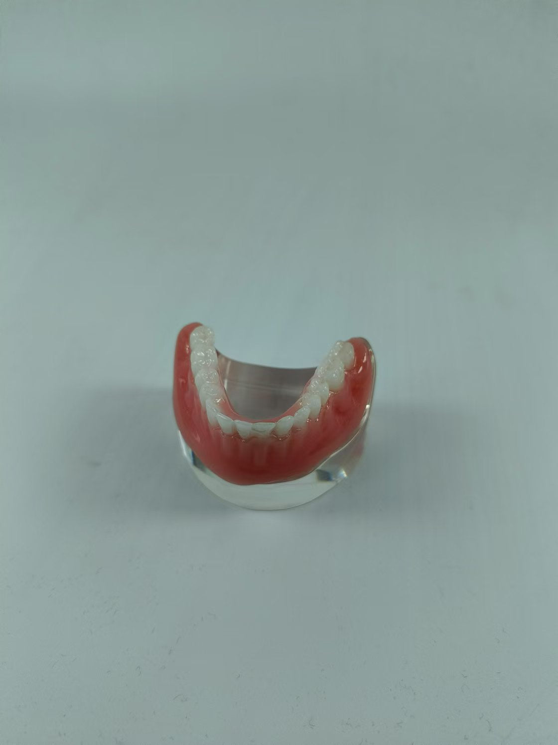 CLEAR BASE DENTAL TYPODONT IMPLANT TEETH MODE TOOTH MODEL FOR EDUCATION & STUDY