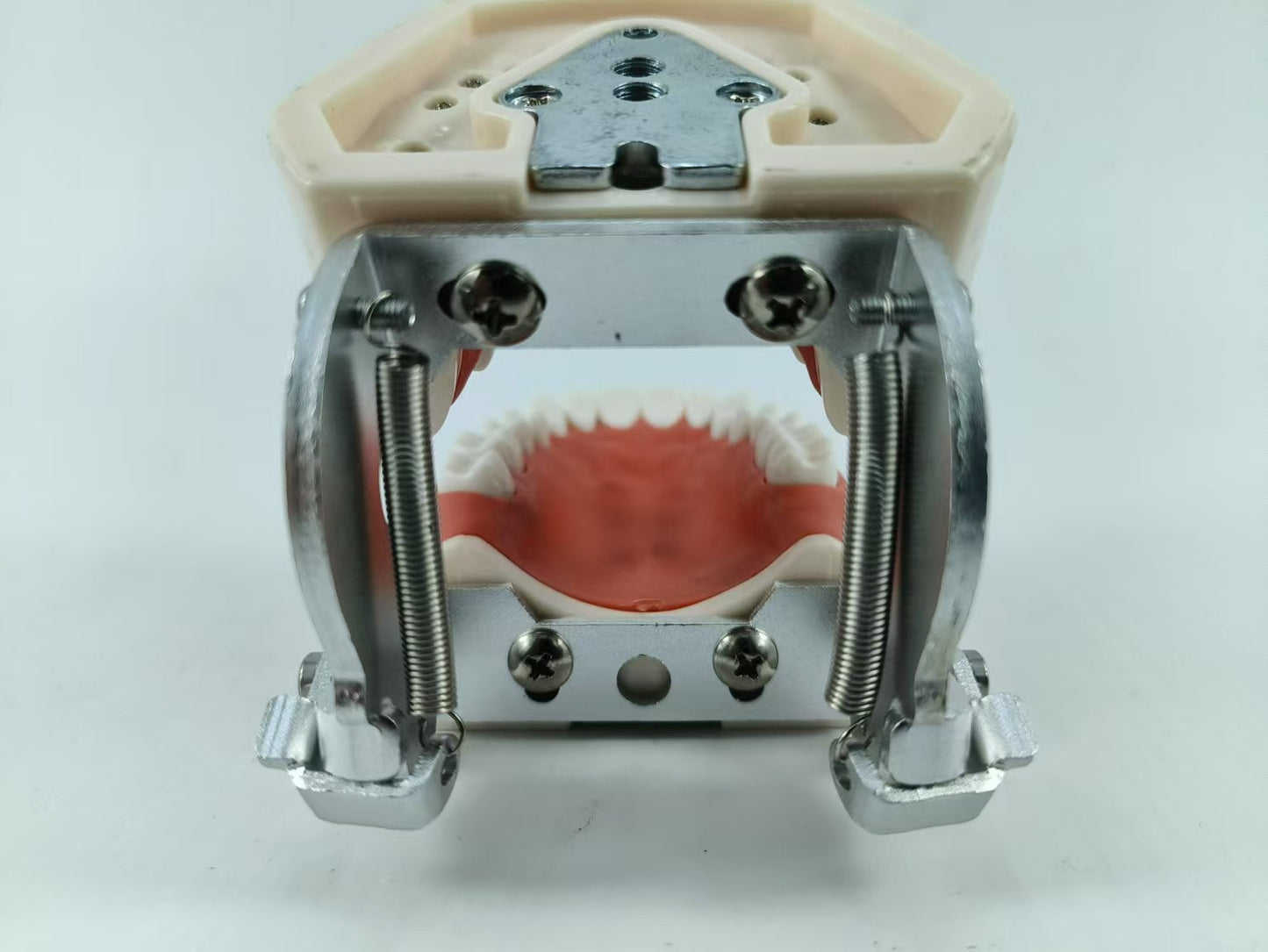 TYPODONT TEETH MODEL WITH REMOVABLE TEETH, 28 TEETH