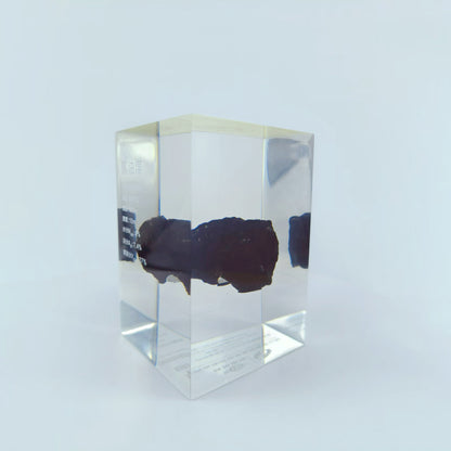 Transparent Resin Encapsulated Oil Coal