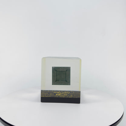 IC Chip Encapsulated into Transparent Resin