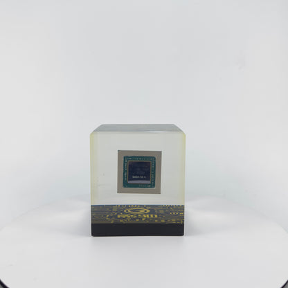 IC Chip Encapsulated into Transparent Resin