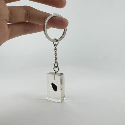 ENCAPSULATED TRANSPARENT ACRYLIC KEY CHAIN