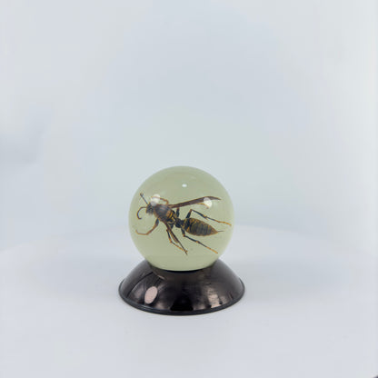 Transparent Resin Encapsulated Bee with Night Light