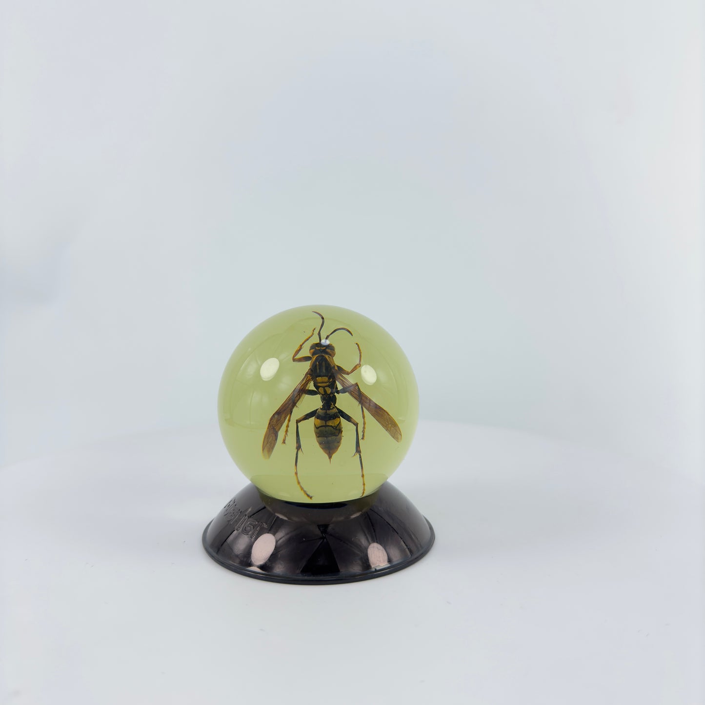 Transparent Resin Encapsulated Bee with Night Light