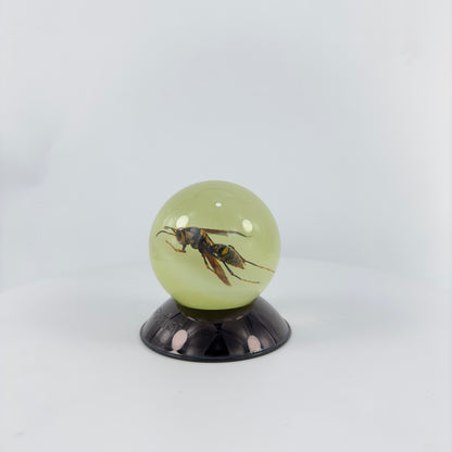 Transparent Resin Encapsulated Bee with Night Light