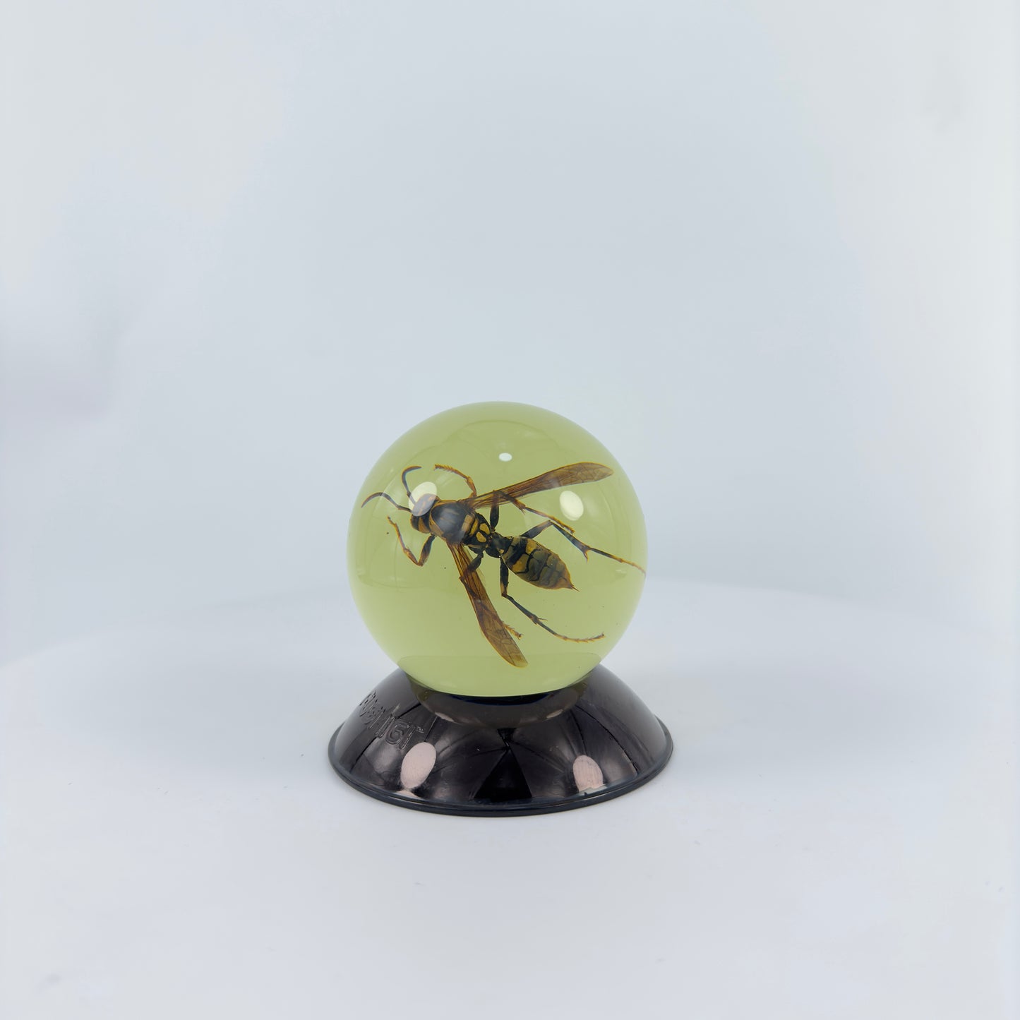 Transparent Resin Encapsulated Bee with Night Light