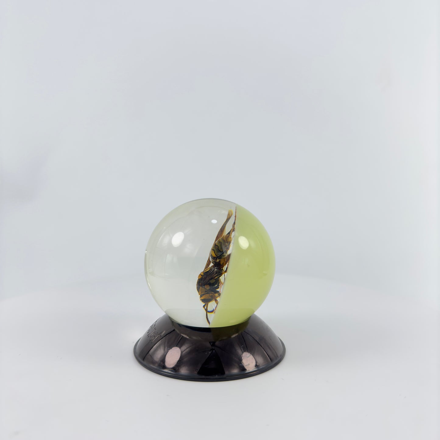 Transparent Resin Encapsulated Bee with Night Light