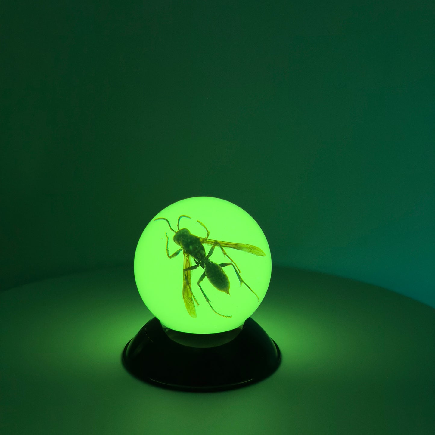 Transparent Resin Encapsulated Bee with Night Light