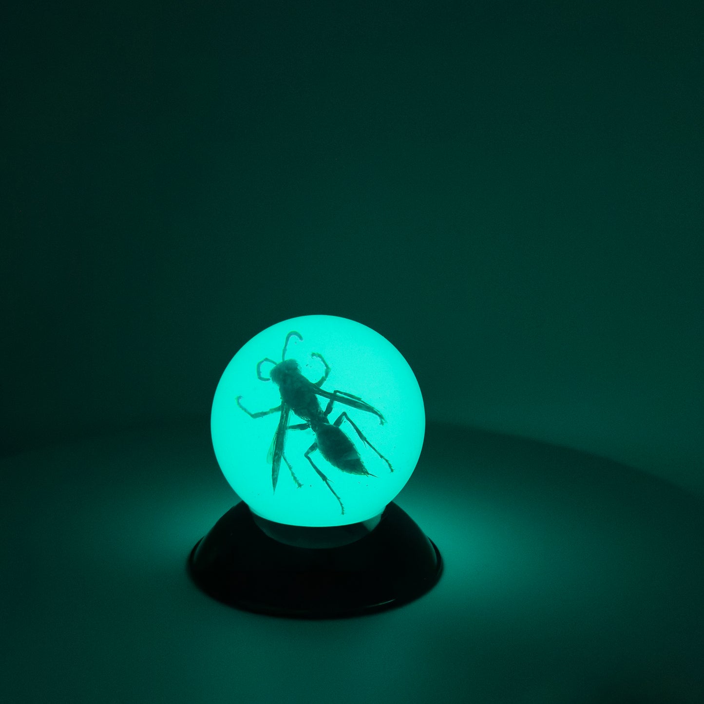 Transparent Resin Encapsulated Bee with Night Light