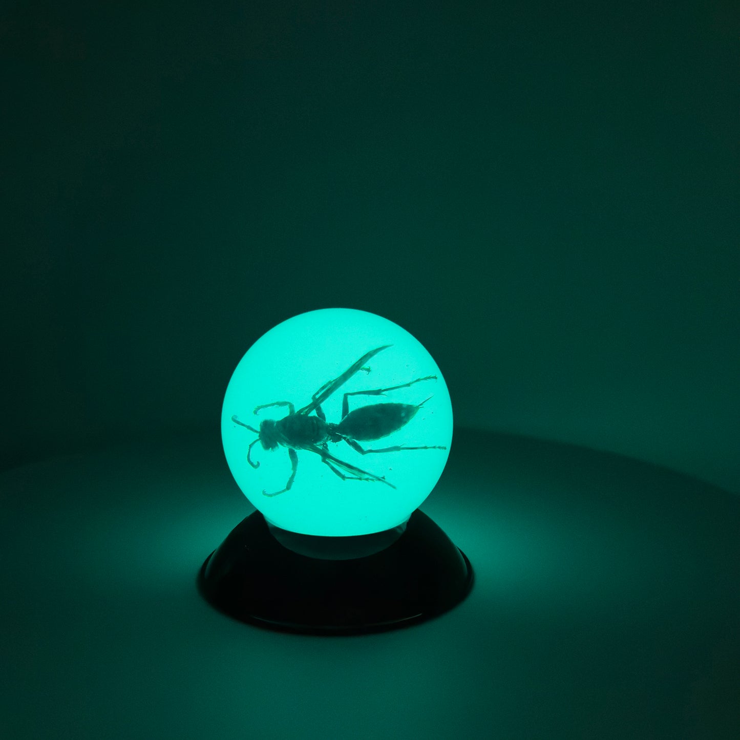 Transparent Resin Encapsulated Bee with Night Light